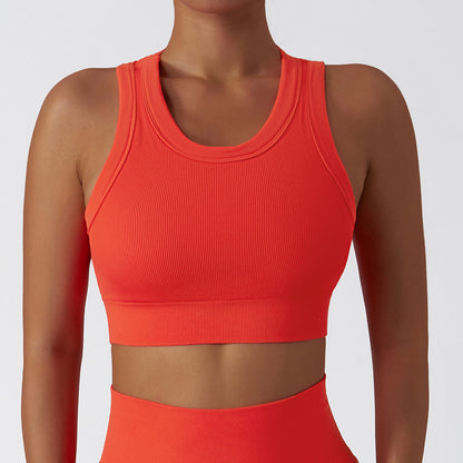 Basic Seamless Style Yoga Active Multiple Colors Select Crop Top For Women
