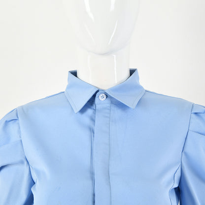 Pleated Stylish Professional Office Lady Shirt Style For Women