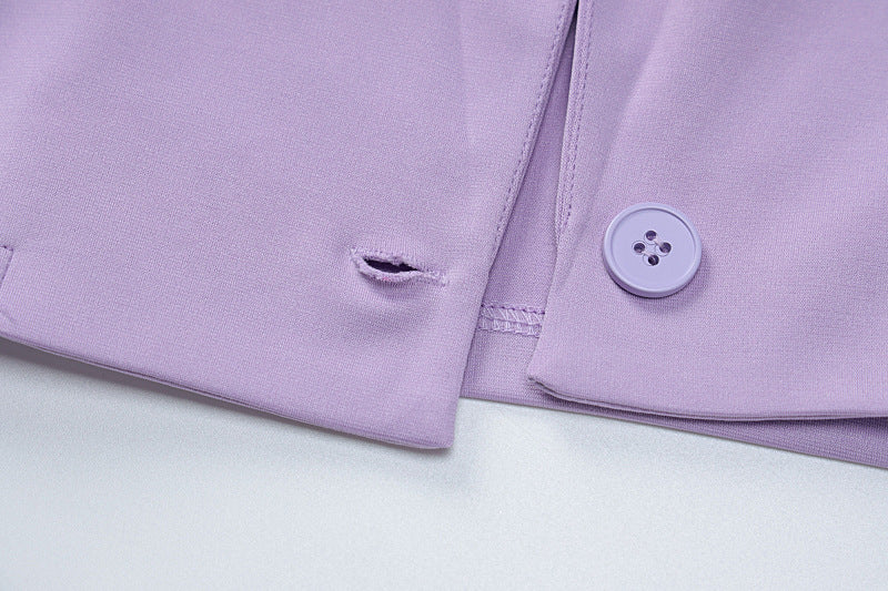 Blazer With Skirt Sets Professional Office Lady Style Sets For Women