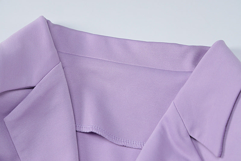 Blazer With Skirt Sets Professional Office Lady Style Sets For Women